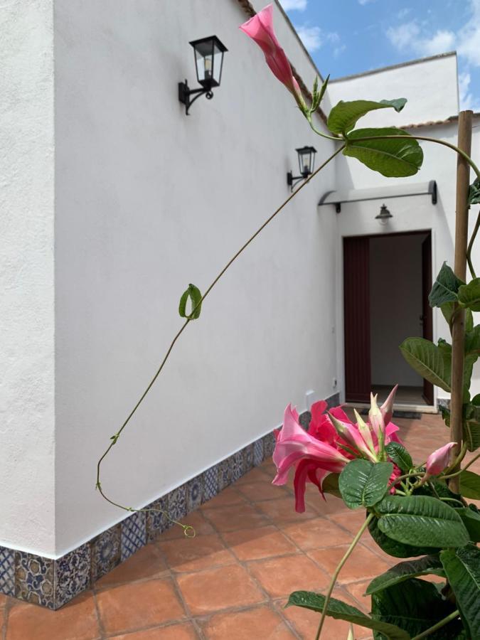 Villa Giuseppina Terracina Luaran gambar